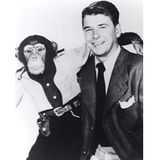The Reagan Years, Part 2
