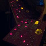 odin live