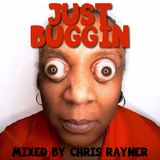 DJ Chris Rayner - Just Buggin