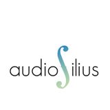 Audiofilius - First Live Set, recorded at "Hippi&Anne´s 60. Birthday".