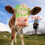Radio MeuhMeuh - Podcast #06: Special Demo ou Maquette