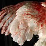 °Butcher Angel°° 180BPM