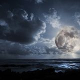 Random Playlist