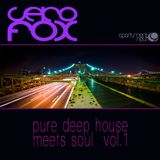 apartment 9 /// Seko Fox - Pure Deep House meets Soul Vol.1