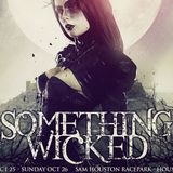 Deorro - Live @ Something Wicked 2014 (Houston, USA) - 25.11.2014
