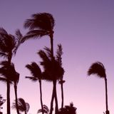 DJ Leon El Ray Presents Urban Life Part 5 The Tropical Life