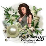 SoolPhoolz Emotions #26
