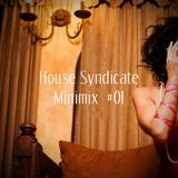 House Syndicate Minimix #01