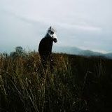 Golden Summer Songs 2014 by DJ Golden