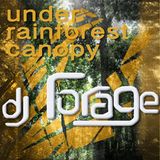 under rainforest canopy - dj forage
