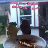 Songs from Beneath the Spaghetti Tree, Volume 9