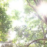Hot Muggy Summer 2013.1