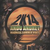 Andu Andrey - Madness Summer Vibes 2k14