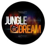 JUNGLEDREAM_27_ZIONBASS / DJ RASTAL_030615