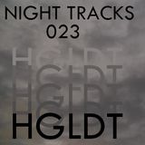 Night Tracks 023: HGLDT Guest Mix