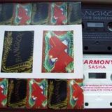 Sasha @ Harmony : The Institute Birmingham 1993