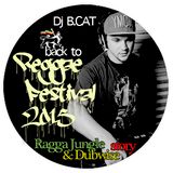 Dj BCAT-Reggae festival 2015 promo mix