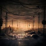 Looking Forward - Neelix