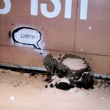 Зимата на нашето задоволство - МУЗИКАТА Е СВОБОДНА