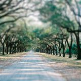 mR_BLACk - Faint Memories