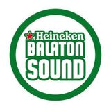 Fritz Kalkbrenner - Live @ Balaton Sound 2012 (Hungary) - 13.07.2012
