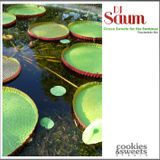 DJ Saum - Green sweets for the summer