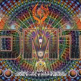 DMT TRIP