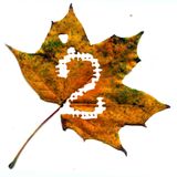 Around the World in 1 Hour _ September
