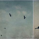 Wieczór Nie Tylko Rockowy by Pawel Freebird Michaliszyn / In Memory Of Lynyrd Skynyrd