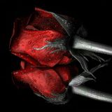 Something Special 4U - Rhythm 38 - LOV U bb - Tony Fuentes from Barcelona - 4U
