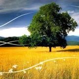DJ CabreRob's " A Sketch For Summer "