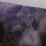 Where You Showed up on the Foggiest Day