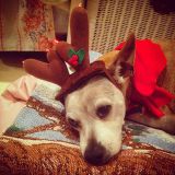 Christmas 2014 - Mix #10 - Christmas "A to Z"