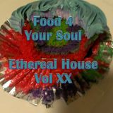 Food 4 Your Soul - 2013 Remix
