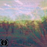 Halftribe's December Dubtechno Mix