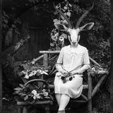 Lucas Türschmann - Easter Backup
