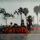 DubLogic#4