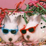 DJ Zozo-Easter Party Mix (Random 009)