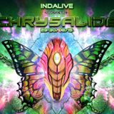 Chrysalide Show