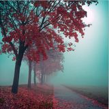 deeper journeys - i
