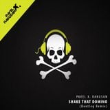Pavel X. Rakusan - Shake That Domino (Bootleg Mashup)