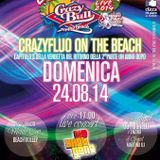 CRAZY BULL ON THE BEACH - live set pt. 4 by Fabietto Cutrignelli dj - sunday, august 24th 2014