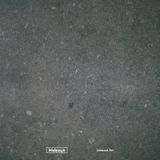 Alex Asher Daniel, Fraser Cooke - The Good Mod