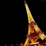 Summer Nights in Paris