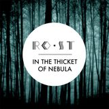 In The Thicket Of Nebula