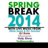 SpringBreakEdit (Live @ Spring Break 2014)