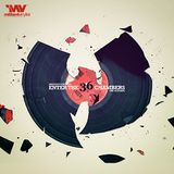 Militant Vinylist - Enter The 36 Chambers