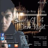 Sounds of A Dark Night 006 (Dubstep & DnB)