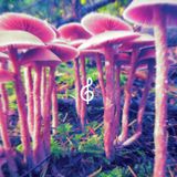 Aquecimento Tame Impala by Tecla Music Agency for Queremos!
