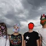 Animal Collective Avey Tare's Micromix